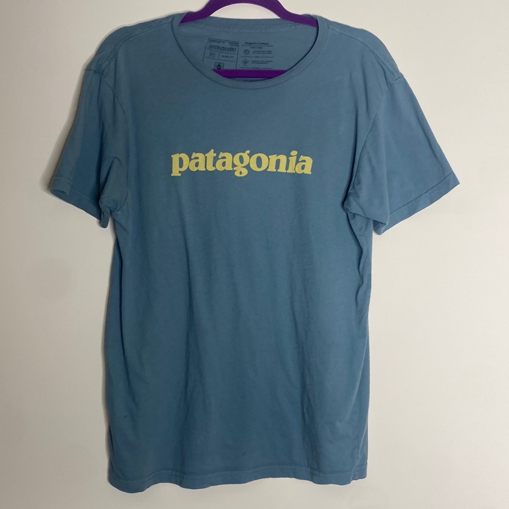 Patagonia short sleeve t shirt size medium pale light blue Patagonia logo